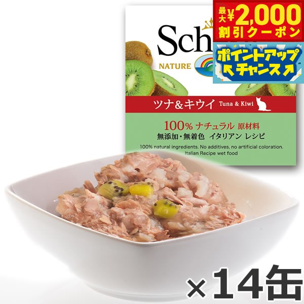 【最大2000円OFFクーポン！＆店内ポ�