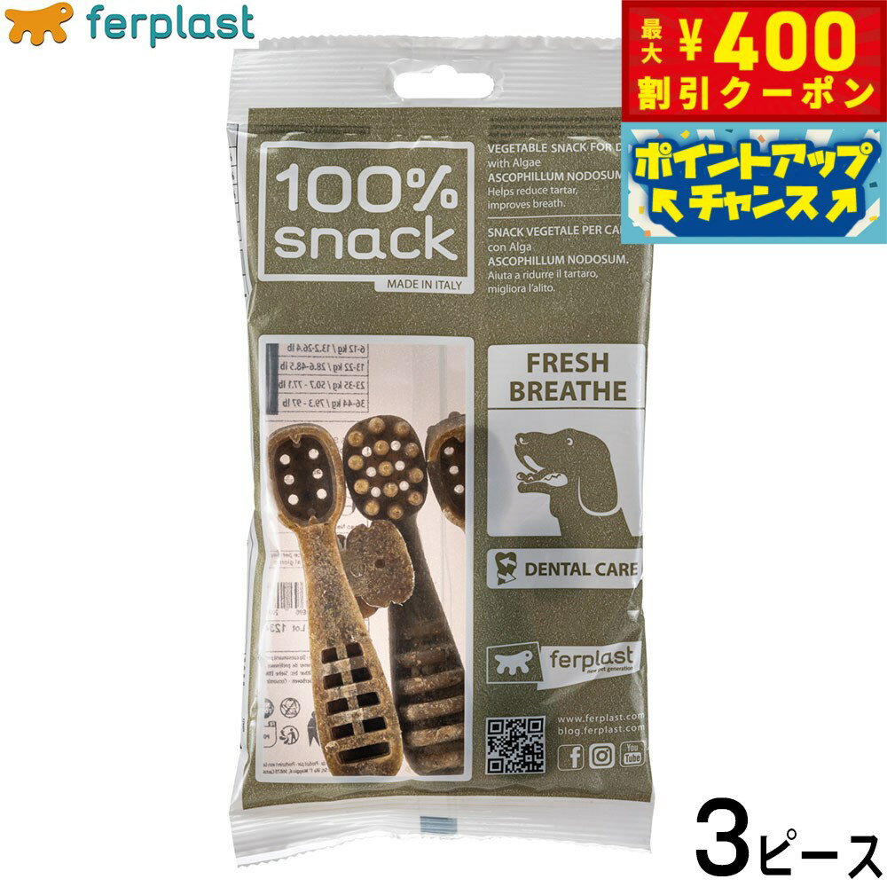 【400円OFFクーポン！＆店内ポイント最大42倍！2月1日！】ファープラスト 犬用おやつ ベジタリアンデンタルスナック トゥースブラシ アスコフィラン M 3ピース デンタルガム デンタルケア 歯磨きガム