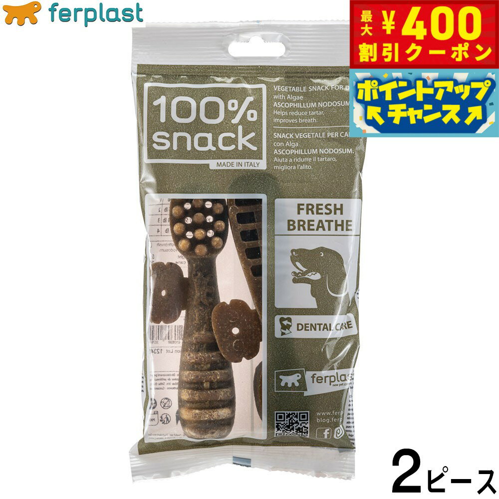 【400円OFFクーポン！＆店内ポイント最大42倍！2月1日！】ファープラスト 犬用おやつ ベジタリアンデンタルスナック トゥースブラシ アスコフィラン L 2ピース デンタルガム デンタルケア 歯磨きガム