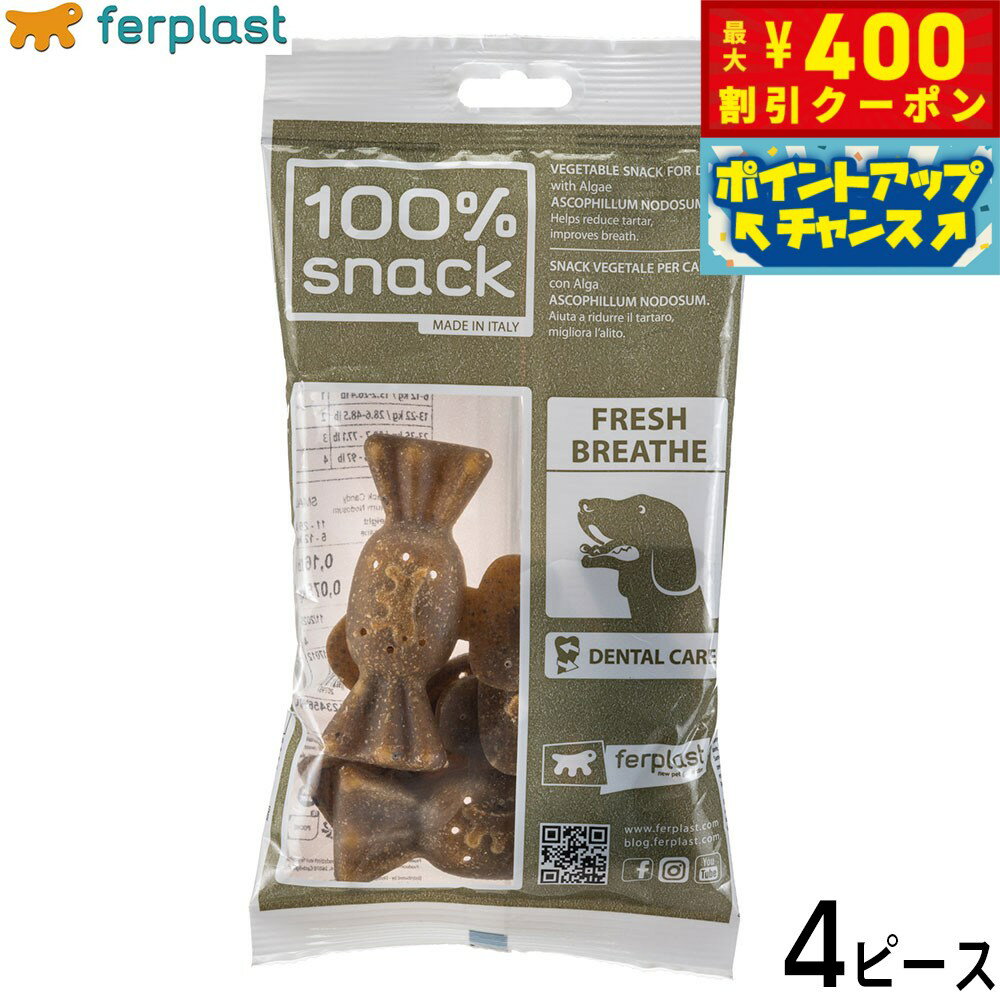 【400円OFFクーポン！＆店内ポイント最大42倍！2月1日！】ファープラスト 犬用おやつ ベジタリアンデンタルスナック キャンディ アスコフィラン S 4ピース デンタルガム デンタルケア 歯磨きガム