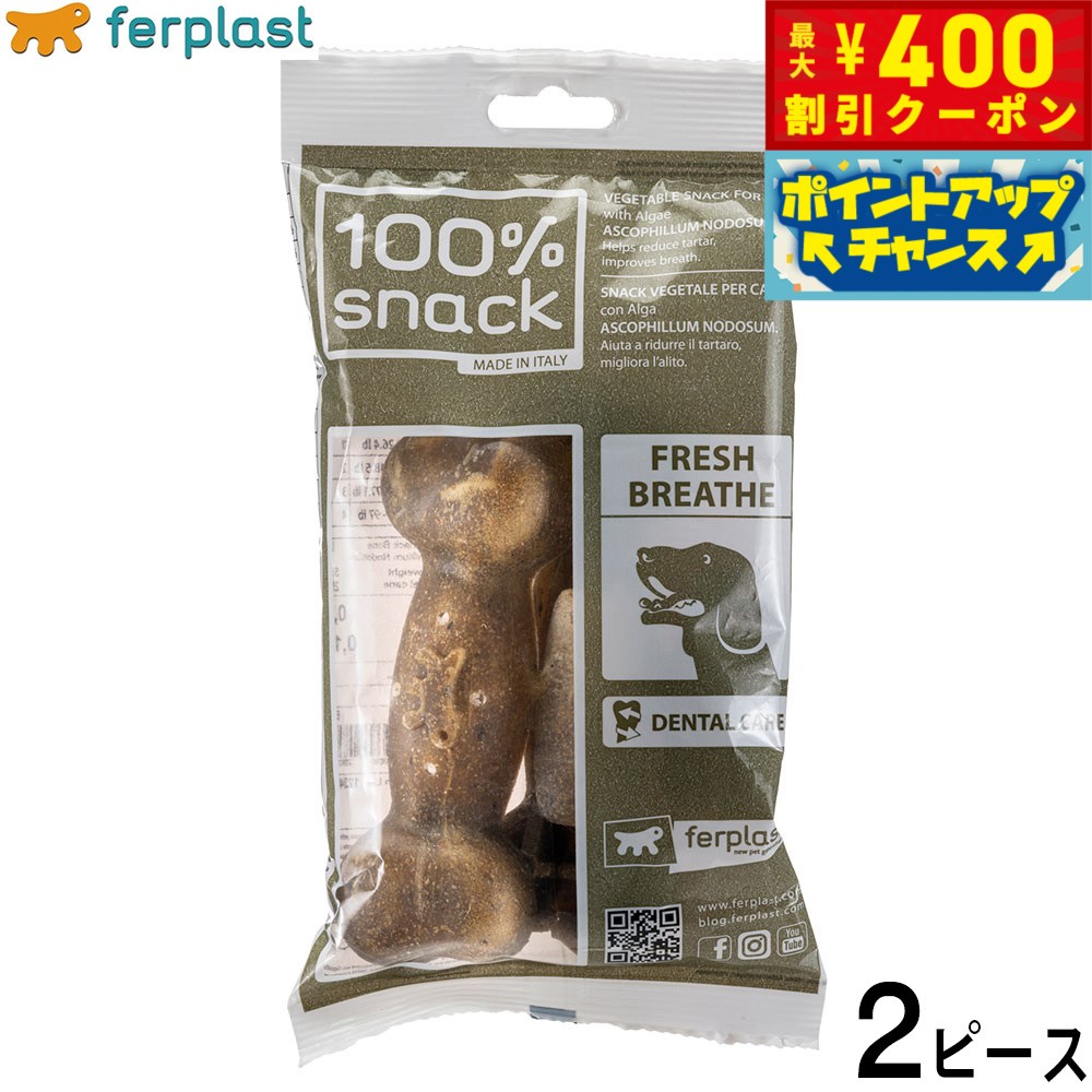 【400円OFFクーポン！＆店内ポイント最大42倍！2月1日！】ファープラスト 犬用おやつ ベジタリアンデンタルスナック ボーン アスコフィラン L 2ピース デンタルガム デンタルケア 歯磨きガム