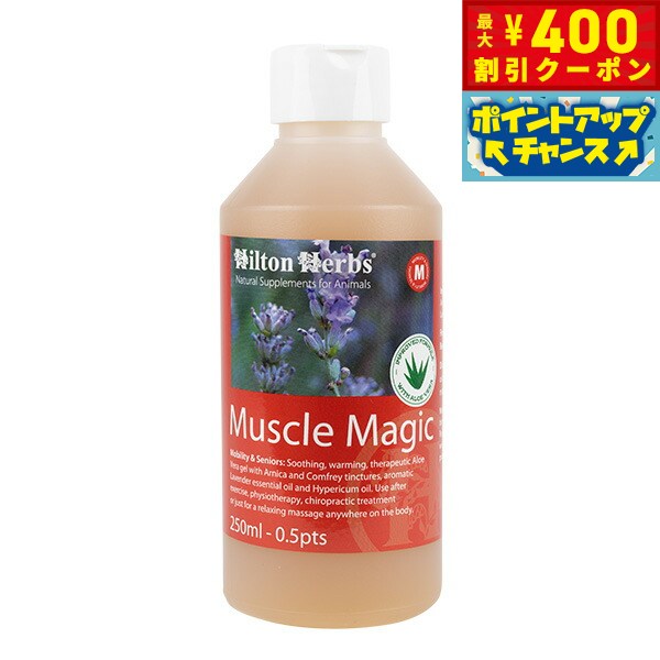 【400円OFFクーポン！＆店内ポイント最大42倍！2月1日！】ヒルトンハーブ フィトソルブ 500 ...