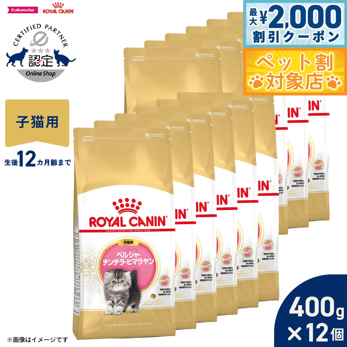 【最大2000円OFFクーポン！＆店内ポイント最大58倍！本日限定！】ロイヤルカナン 猫 キャットフード フィーラインブリードニュートリション ペルシャ チンチラ ヒマラヤン専用フード 子猫用 400g×12袋 正規品