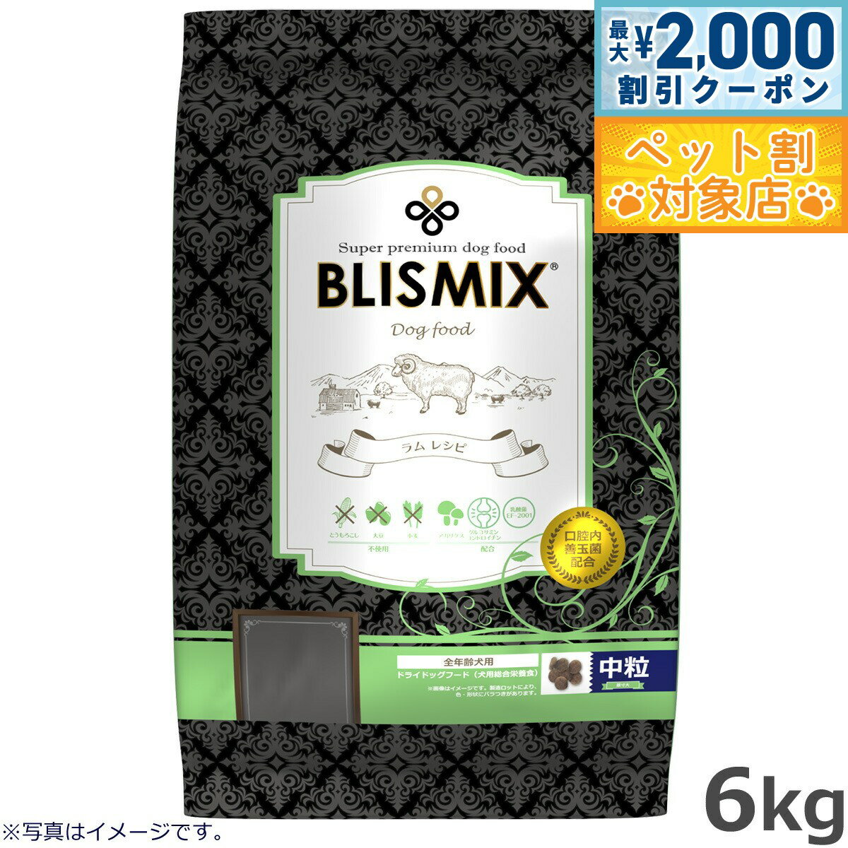 【最大2000円OFFクーポン！＆店内ポ�