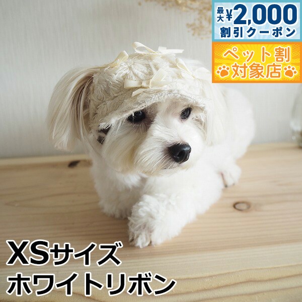 【最大2000円OFFクーポン！＆店内ポイント最大58倍！本日限定！】犬の帽子 ガーデンオブエデン リボンキャスケット XS ホワイトリボン おしゃれ 可愛い 小型犬