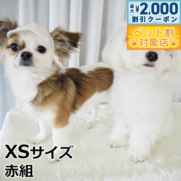【最大2000円OFFクーポン！＆店内ポイント最大58倍！本日限定！】犬の帽子 ガーデンオブエデン 赤白帽 XSサイズ 赤組