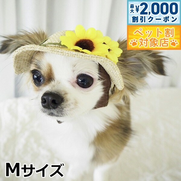 【最大2000円OFFクーポン！＆店内ポイント最大58倍！本日限定！】犬の帽子 ガーデンオブエデン ひまわりハット Mサイズ