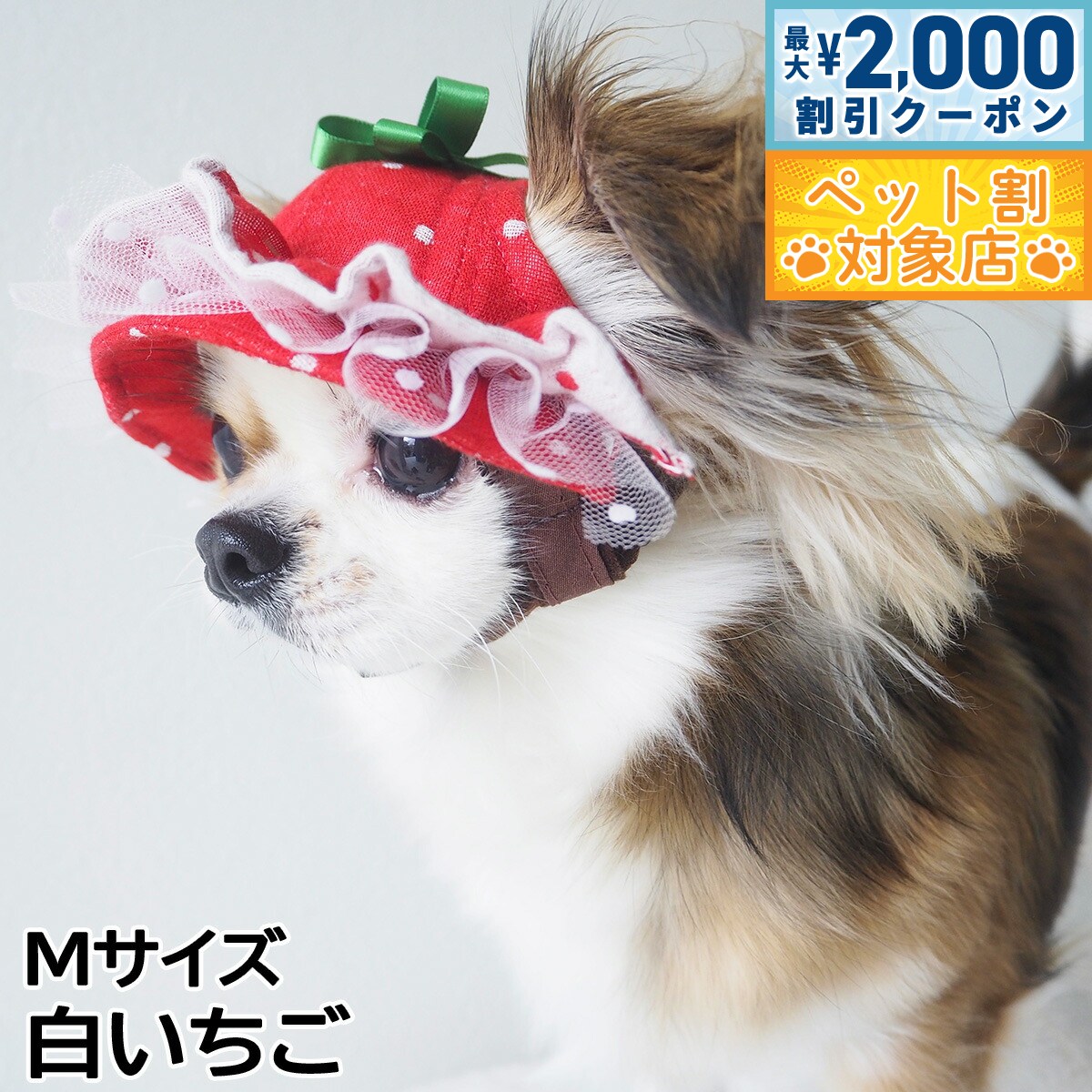 【最大2000円OFFクーポン！＆店内ポイント最大58倍！本日限定！】犬の帽子 ガーデンオブエデン いちごフリルハット Mサイズ 白いちご
