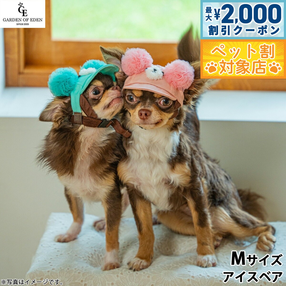 【最大2000円OFFクーポン！＆店内ポイント最大58倍！本日限定！】犬の帽子 ガーデンオブエデン デニムポンポンベアCAP M アイスベア【送料無料】 おしゃれ ファッション お出かけ