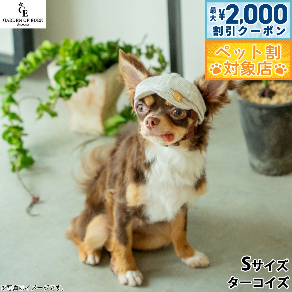 【最大2000円OFFクーポン！＆店内ポイント最大58倍！本日限定！】犬の帽子 ガーデンオブエデン オーガニックコットンキャスケット S ターコイズ【送料無料】 おしゃれ ファッション お出かけ