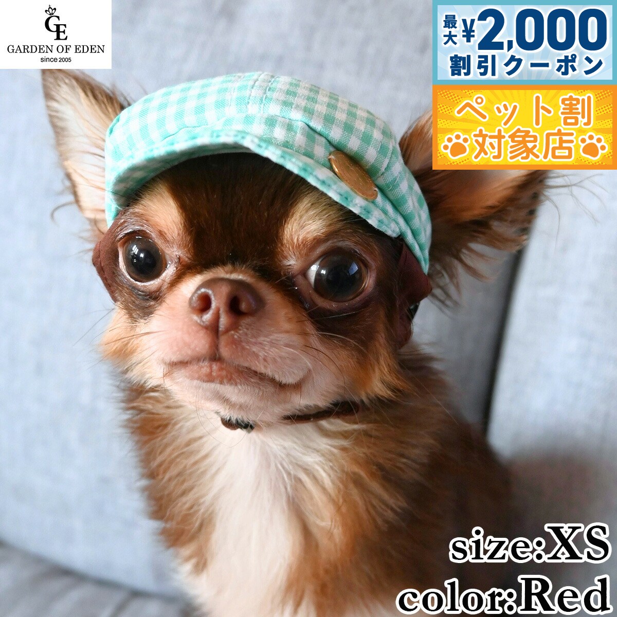 【最大2000円OFFクーポン！＆店内ポイント最大60倍！本日限定！】犬の帽子 ガーデンオブエデン ギンガムチェックキャスケット XS レッド