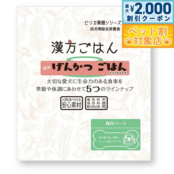 【最大2000円OFFクーポン！＆店内ポイント最大59倍！本日限定！】漢方ごはん改めげんかつごはん レトル..