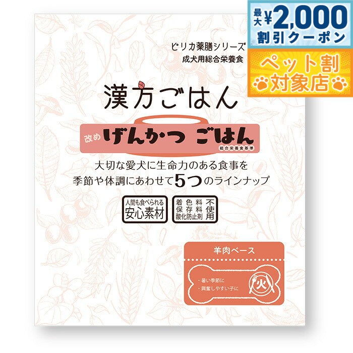【最大2000円OFFクーポン！＆店内ポイント最大58倍！本日限定！】漢方ごはん改めげんかつごはん レトル..