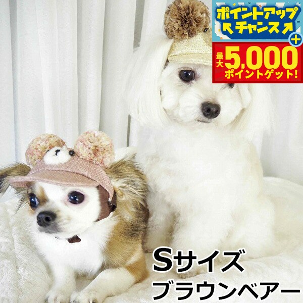 �ں���5000pt�Хå���14��10�����۸���˹�� �����ǥ󥪥֥��ǥ� ����餳����CAP S������ �֥饦��٥���