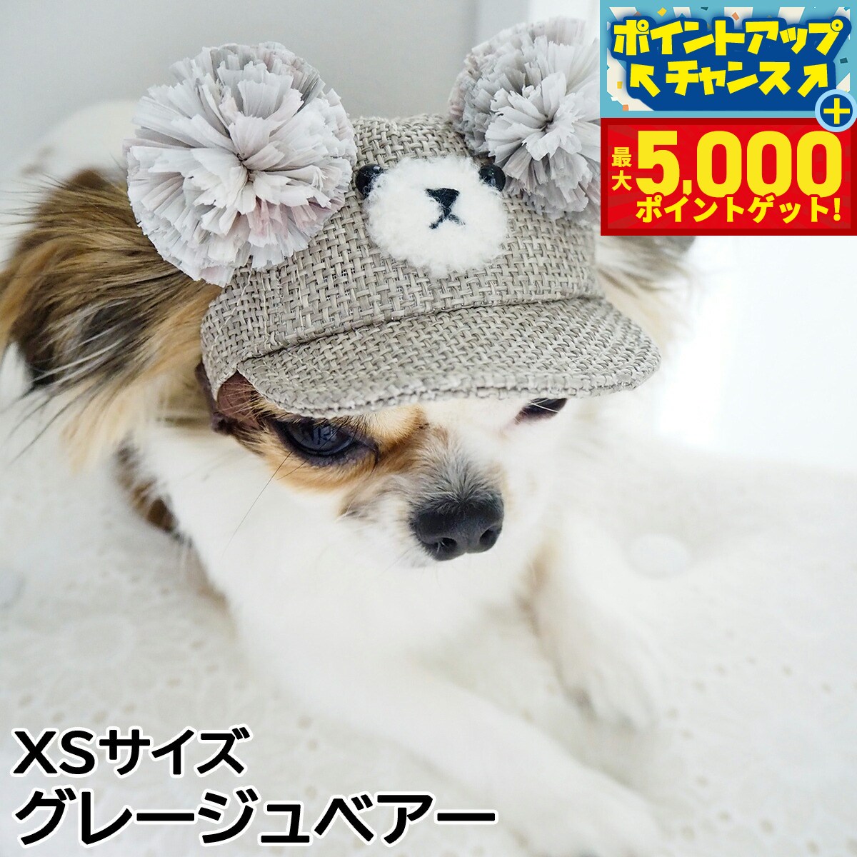 �ں���5000pt�Хå���14��10�����۸���˹�� �����ǥ󥪥֥��ǥ� ����餳����CAP XS������ ���졼����٥���