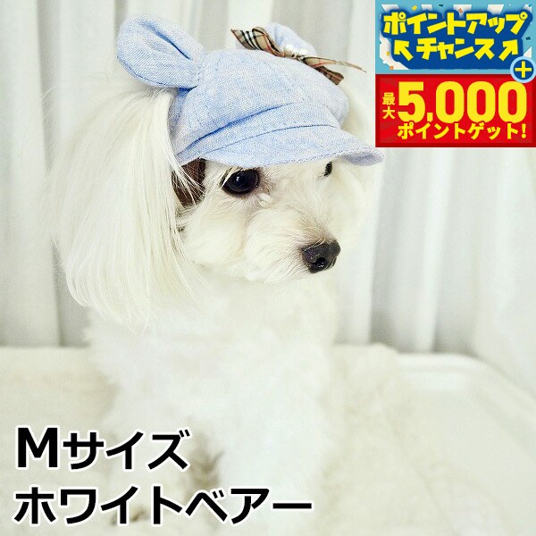 �ں���5000pt�Хå���14��10�����۸���˹�� �����ǥ󥪥֥��ǥ� ���޼���ͥ󥭥㥹���å� M������ �ۥ磻�ȥ٥���