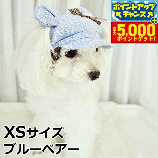 �ں���5000pt�Хå���14��10�����۸���˹�� �����ǥ󥪥֥��ǥ� ���޼���ͥ󥭥㥹���å� XS������ �֥롼�٥���