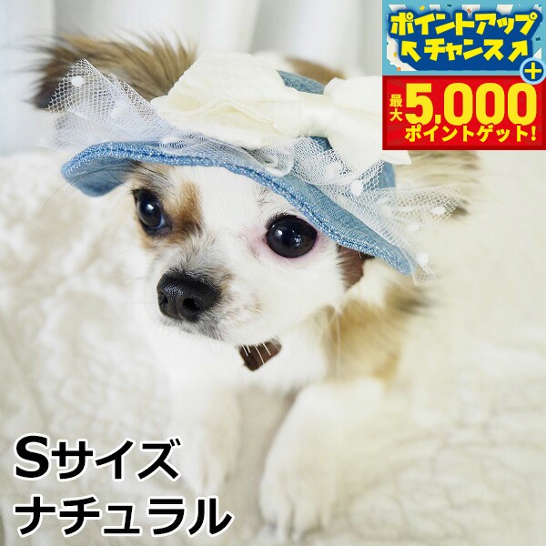 �ں���5000pt�Хå���14��10�����۸���˹�� �����ǥ󥪥֥��ǥ� �����꡼���ޡ��ϥå� S������ �ʥ�����