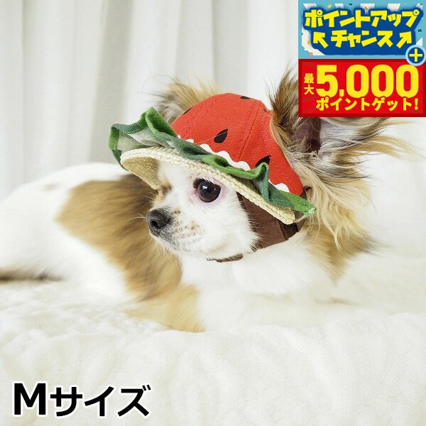 �ں���5000pt�Хå���14��10�����۸���˹�� �����ǥ󥪥֥��ǥ� �������ե��ϥå� M������