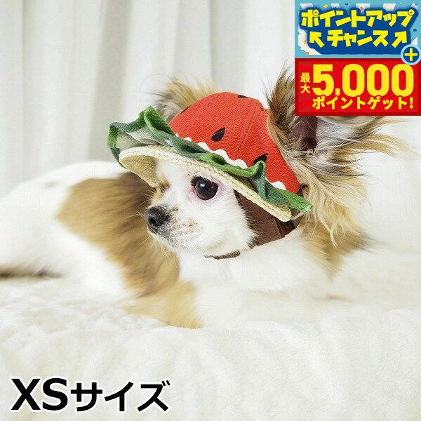 �ں���5000pt�Хå���14��10�����۸���˹�� �����ǥ󥪥֥��ǥ� �������ե��ϥå� XS������