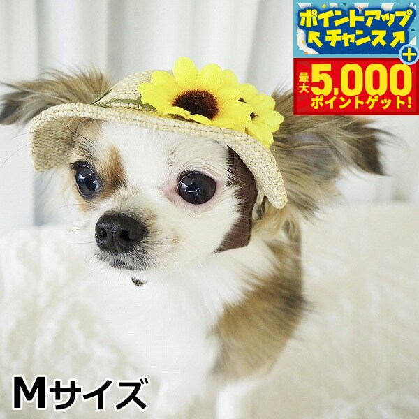 �ں���5000pt�Хå���14��10�����۸���˹�� �����ǥ󥪥֥��ǥ� �Ҥޤ��ϥå� M������