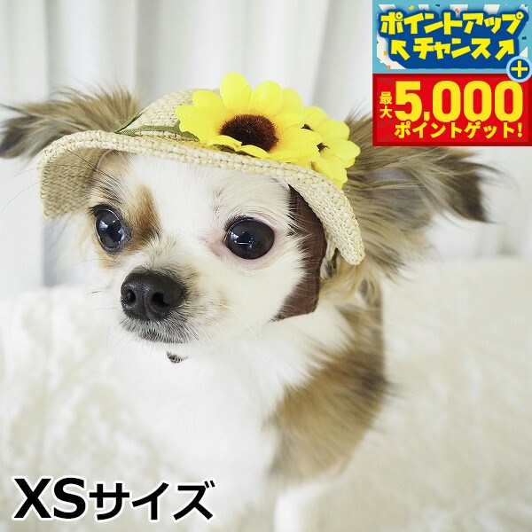 �ں���5000pt�Хå���14��10�����۸���˹�� �����ǥ󥪥֥��ǥ� �Ҥޤ��ϥå� XS������