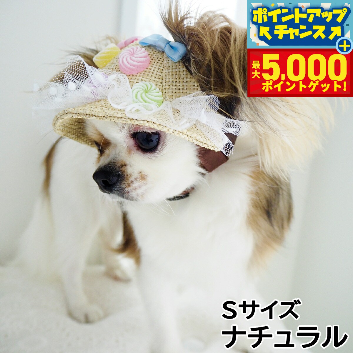 �ں���5000pt�Хå���14��10�����۸���˹�� �����ǥ󥪥֥��ǥ� Candy Pop HAT S������ �ʥ�����