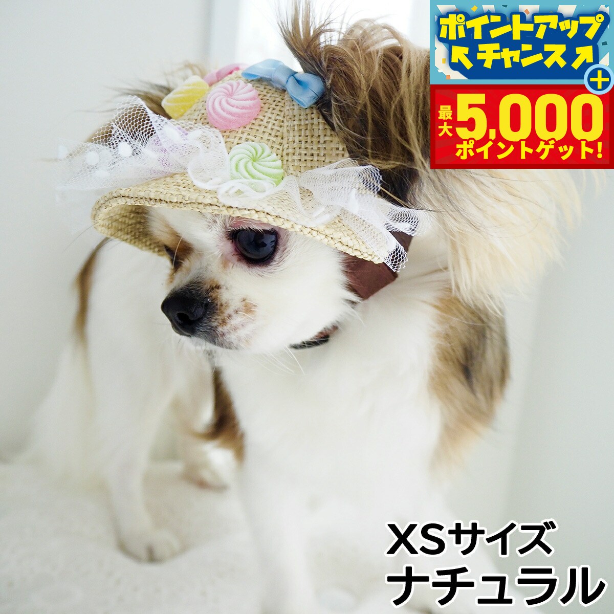 �ں���5000pt�Хå���14��10�����۸���˹�� �����ǥ󥪥֥��ǥ� Candy Pop HAT XS������ �ʥ�����