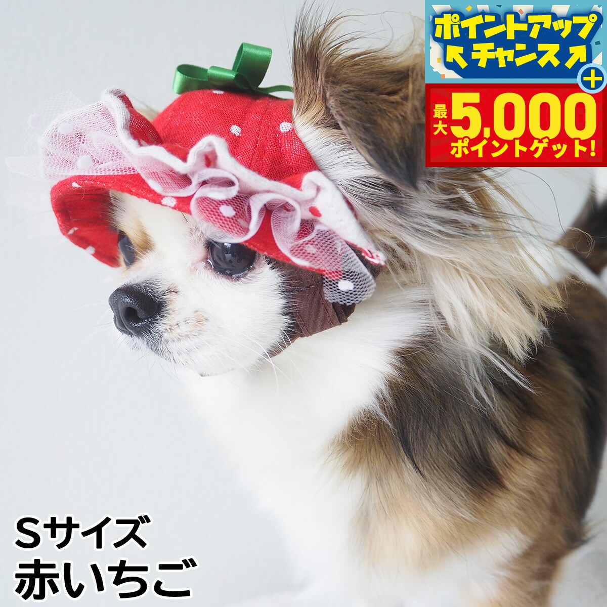 �ں���5000pt�Хå���14��10�����۸���˹�� �����ǥ󥪥֥��ǥ� �������ե��ϥå� S������ �֤�����