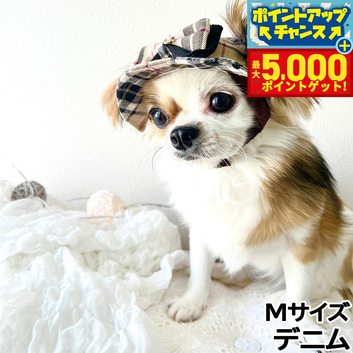 �ں���5000pt�Хå���14��10�����۸���˹�� �����ǥ󥪥֥��ǥ� �Х��åȥϥå� M �ǥ˥������̵����