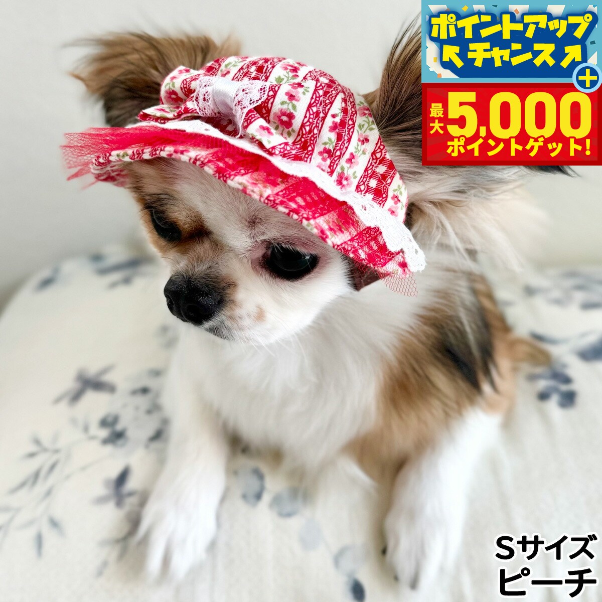 �ں���5000pt�Хå���14��10�����۸���˹�� �����ǥ󥪥֥��ǥ� ��֥꡼��ܥ�ϥå� S �ԡ���������̵����