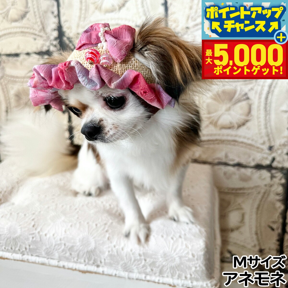 �ں���5000pt�Хå���14��10�����۸���˹�� �����ǥ󥪥֥��ǥ� �衼�衼��ܥ�ϥå� M ���ͥ�͡�����̵����