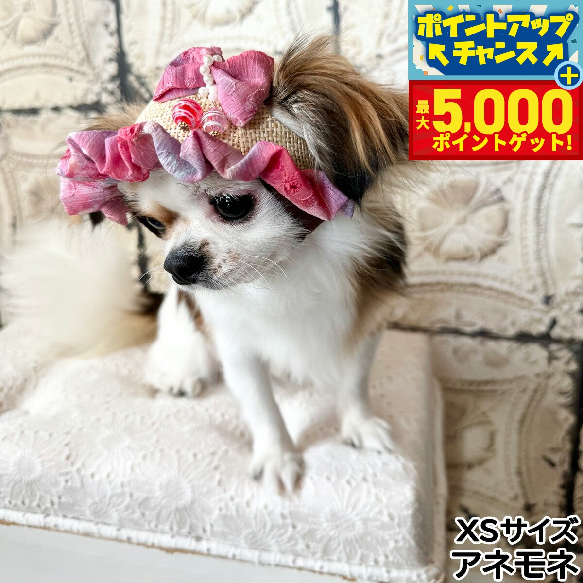 �ں���5000pt�Хå���14��10�����۸���˹�� �����ǥ󥪥֥��ǥ� �衼�衼��ܥ�ϥå� XS ���ͥ�͡�����̵����