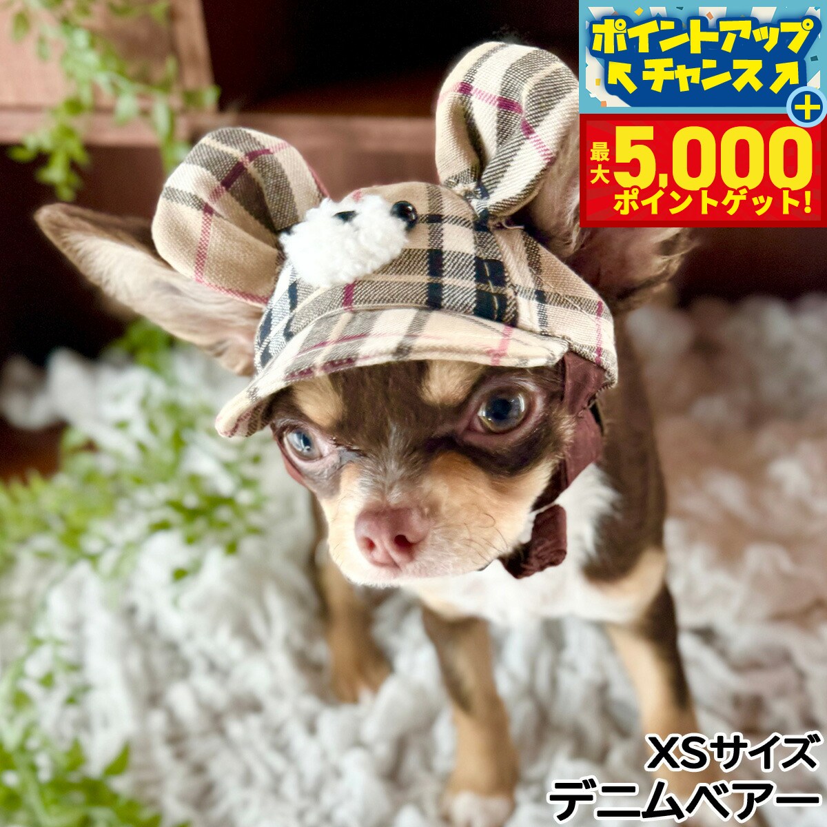 �ں���5000pt�Хå���14��10�����۸���˹�� �����ǥ󥪥֥��ǥ� �٥�—����å� XS �ǥ˥�٥�—������̵��...