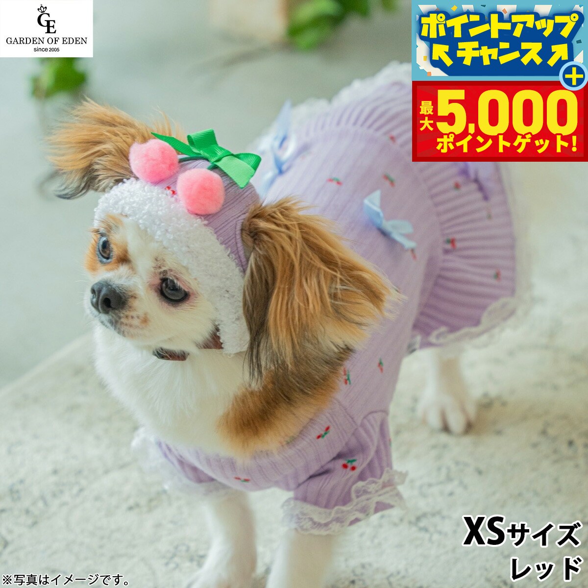 �ں���5000pt�Хå���14��10�����۸���˹�� �����ǥ󥪥֥��ǥ� �������ܥ˥å�CAP XS ��åɡ�����̵���� ������� �ե��å�...