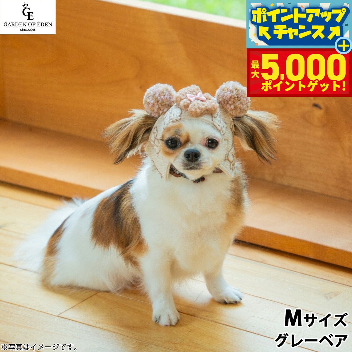 �ں���5000pt�Хå���14��10�����۸���˹�� �����ǥ󥪥֥��ǥ� ���ޤ��ޥѥ����å�˹ M ���졼�٥�������̵���� ������� �ե��å�...