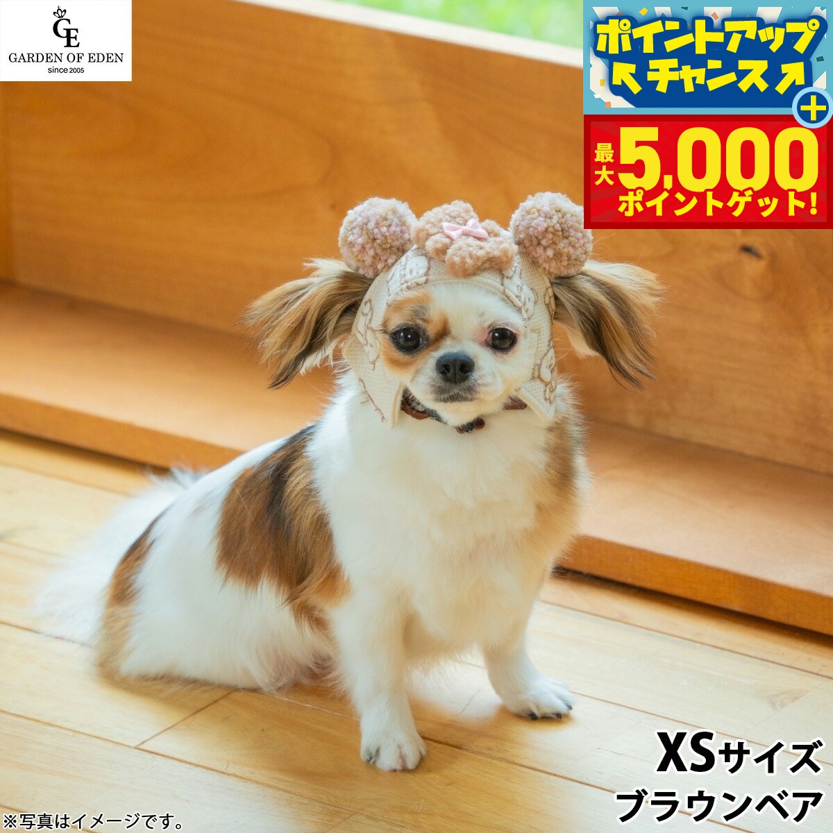 �ں���5000pt�Хå���14��10�����۸���˹�� �����ǥ󥪥֥��ǥ� ���ޤ��ޥѥ����å�˹ XS �֥饦��٥�������̵���� ������� �ե�...