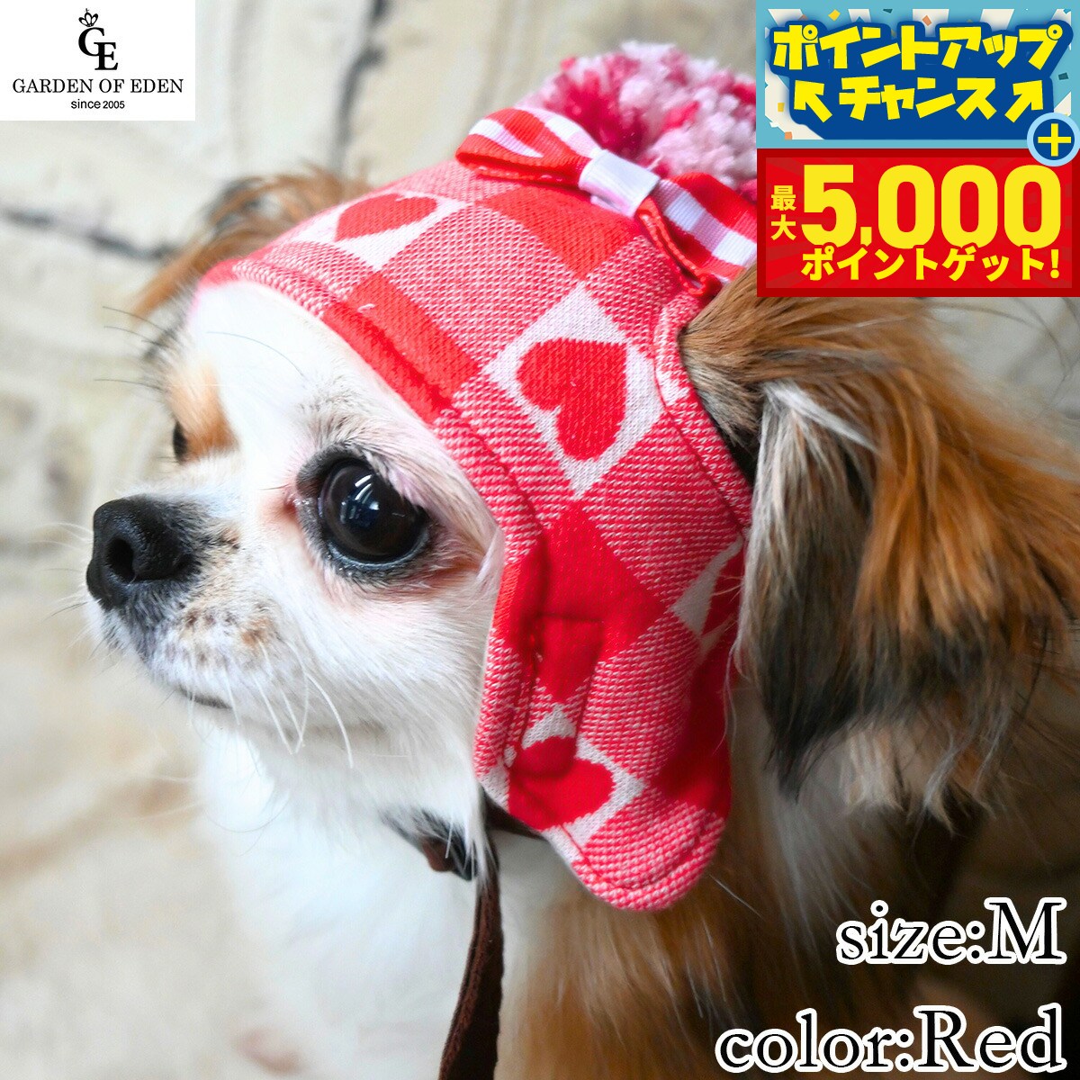 �ں���5000pt�Хå���14��10�����۸���˹�� �����ǥ󥪥֥��ǥ� �ϡ��ȥ����å��˥å�˹ M ��å�