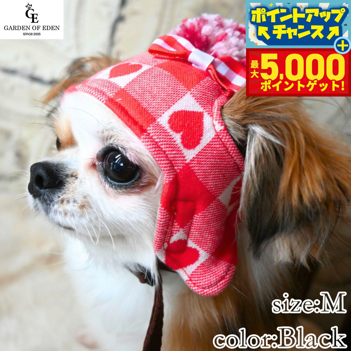 �ں���5000pt�Хå���14��10�����۸���˹�� �����ǥ󥪥֥��ǥ� �ϡ��ȥ����å��˥å�˹ S �֥�å�