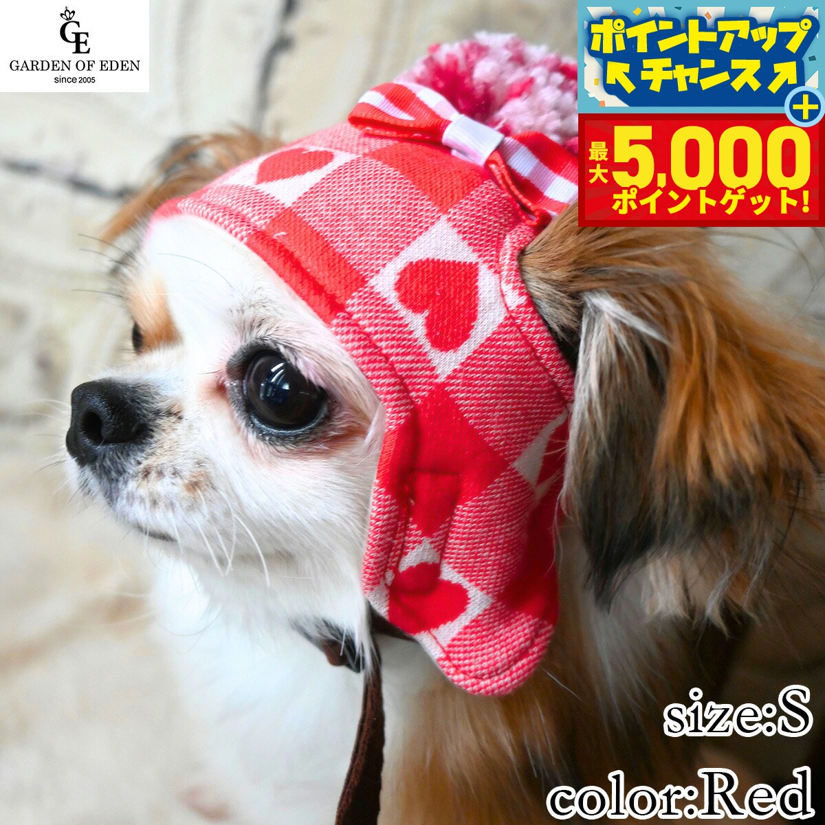 �ں���5000pt�Хå���14��10�����۸���˹�� �����ǥ󥪥֥��ǥ� �ϡ��ȥ����å��˥å�˹ S ��å�