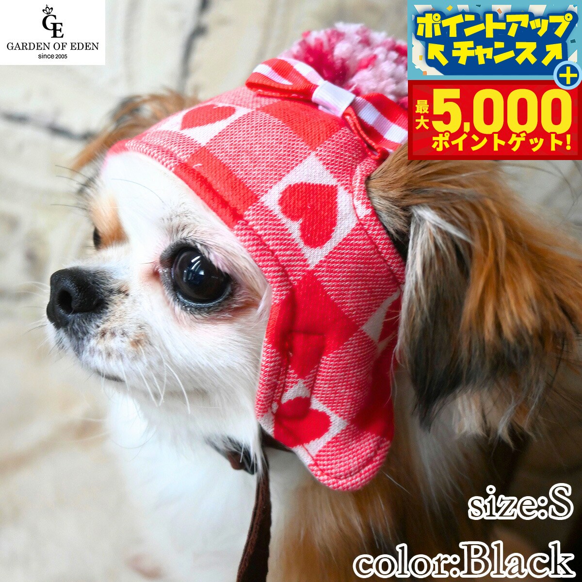 �ں���5000pt�Хå���14��10�����۸���˹�� �����ǥ󥪥֥��ǥ� �ϡ��ȥ����å��˥å�˹ XS �֥�å�