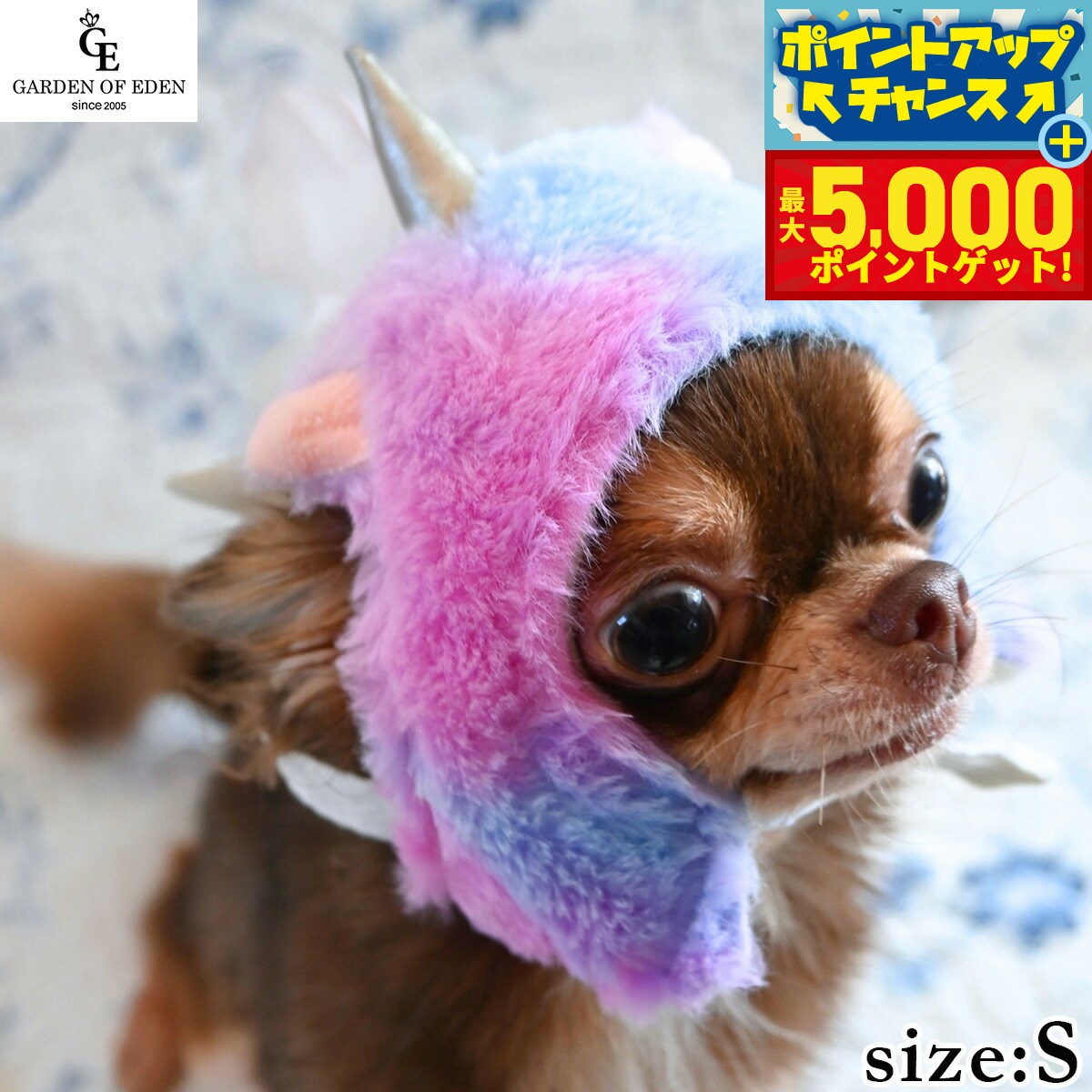 �ں���5000pt�Хå���14��10�����۸���˹�� �����ǥ󥪥֥��ǥ� �դ�⤳��˥�����ѥ����å� S ��˥�����