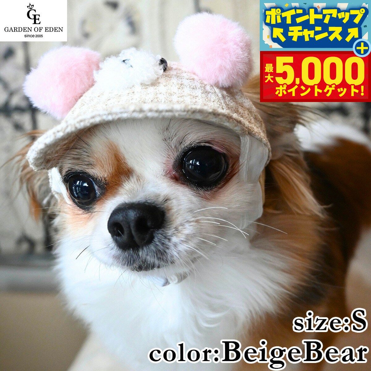 �ں���5000pt�Хå���14��10�����۸���˹�� �����ǥ󥪥֥��ǥ� �⤳�⤳�٥�CAP S �١�����٥�