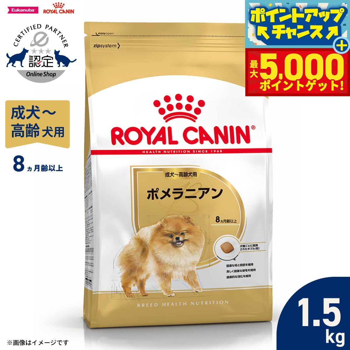 【最大5000ptバック！16日まで！】ロイヤルカナン 犬 ドッグフード ブリードヘルスニュートリション ポメラニアン成犬～高齢犬用 1.5kg 正規品