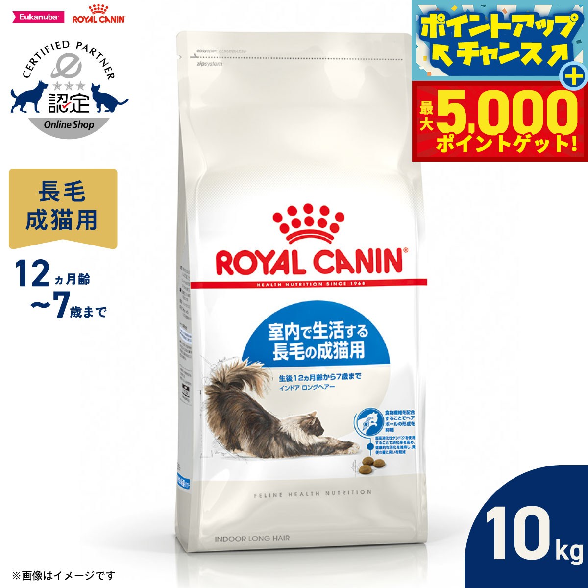 【最大5000ptバック！16日まで！】ロイヤルカナン 猫 キャットフード フィーラインヘルスニュートリション インドア ロングヘアー 10kg 正規品 室内で生活する長毛の猫専用フード 成猫用