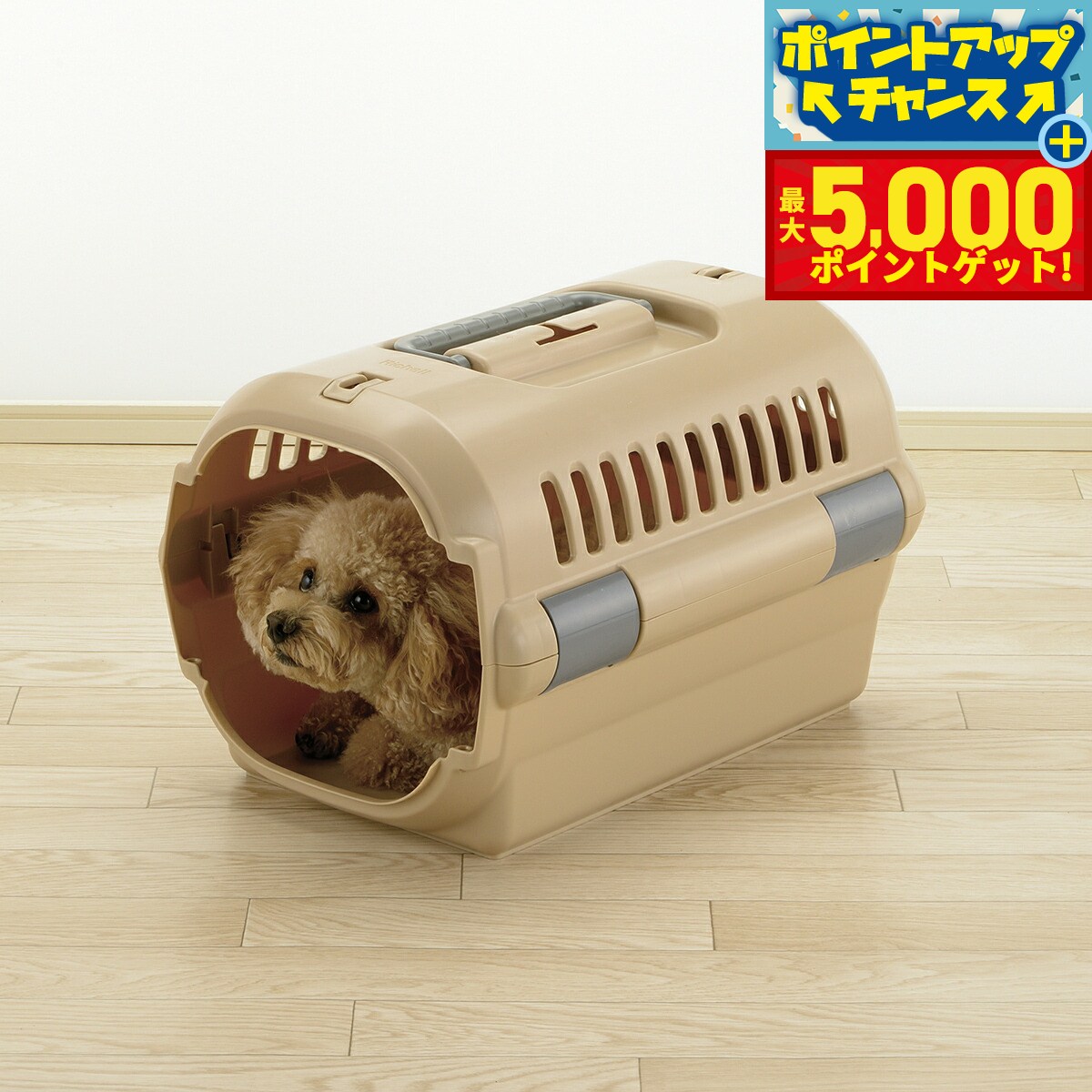 【最大5000ptバック！16日まで！】リッチェル Richell キャンピングキャリーファイン S ブラウン 犬 猫 うさぎ ペットキャリー クレート ハウス 超小型犬 小型犬 ハード 水洗い可 おでかけ 車