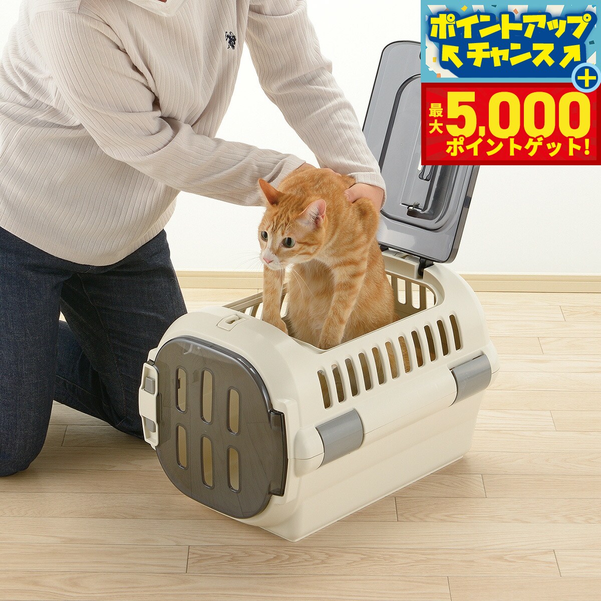 【最大5000ptバック！16日まで！】リッチェル Richell キャンピングキャリーファイン ダブルドア S アイボリー 犬 猫 うさぎ ペットキャリー クレート ハウス 超小型犬 小型犬 ハード スモークドア 水洗い可