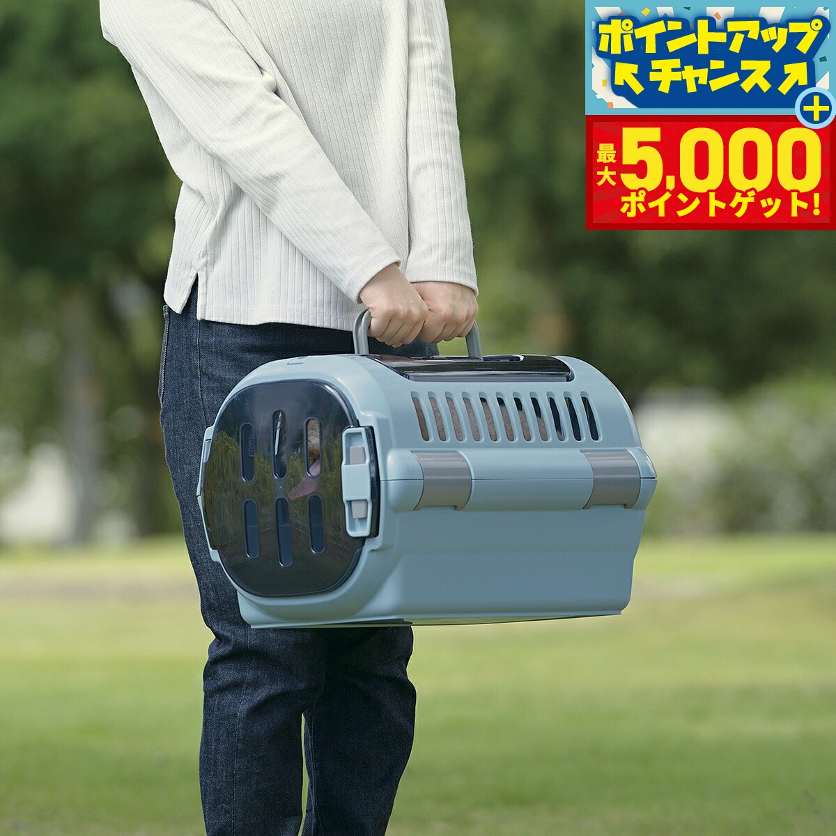 【最大5000ptバック！16日まで！】リッチェル キャンピングキャリーファイン ダブルドア S ブルー 犬 猫 うさぎ ペットキャリー クレート ハウス 超小型犬 小型犬 ハード スモークドア 水洗い可 おでかけ