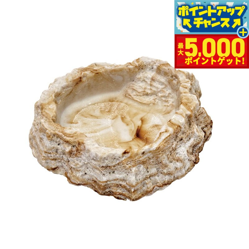 【最大5000ptバック！14日10時〜】スドー レプティボウル2 SF