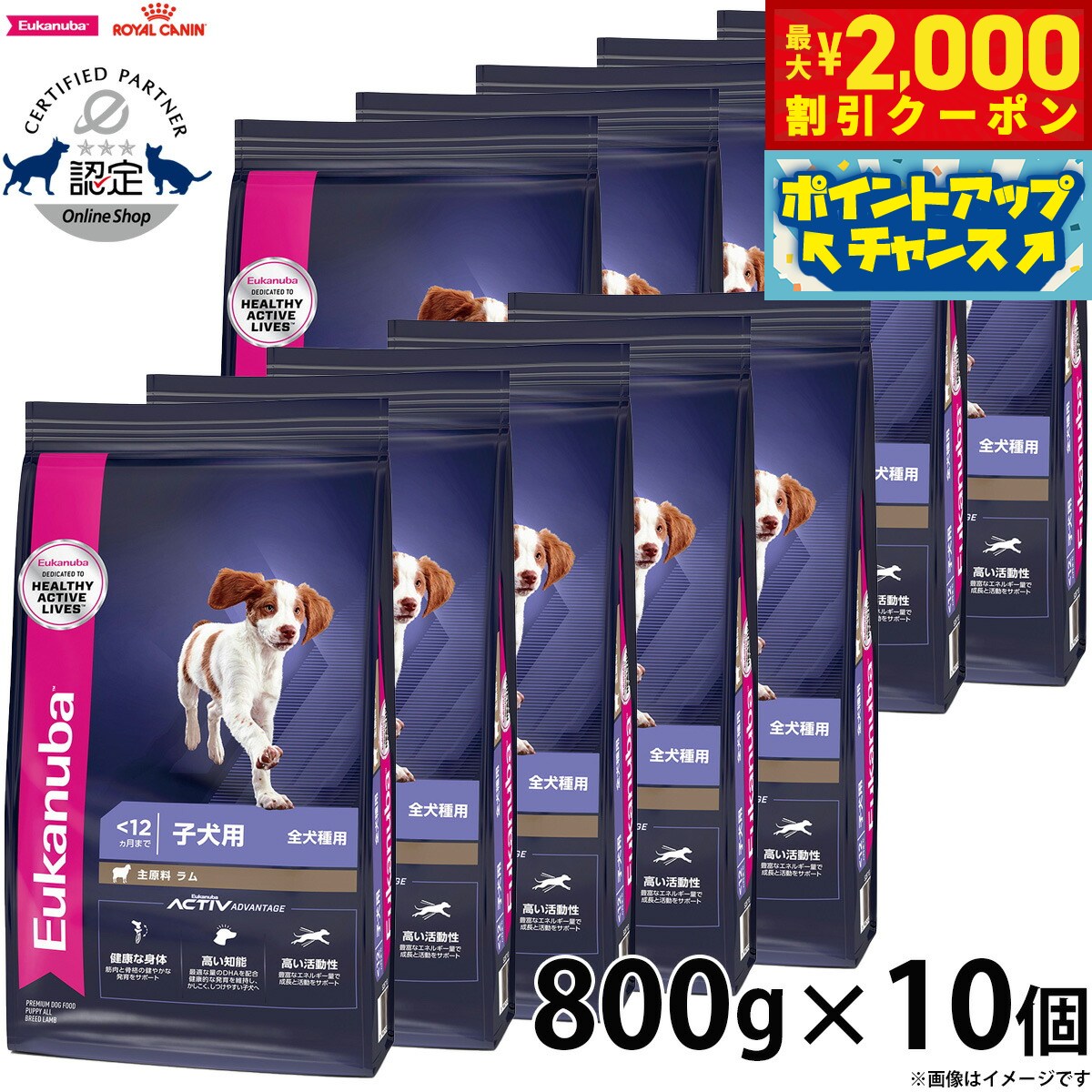 【最大2000円OFFクーポン！＆店内ポイント最大55倍！本日限定！】 800g×10個